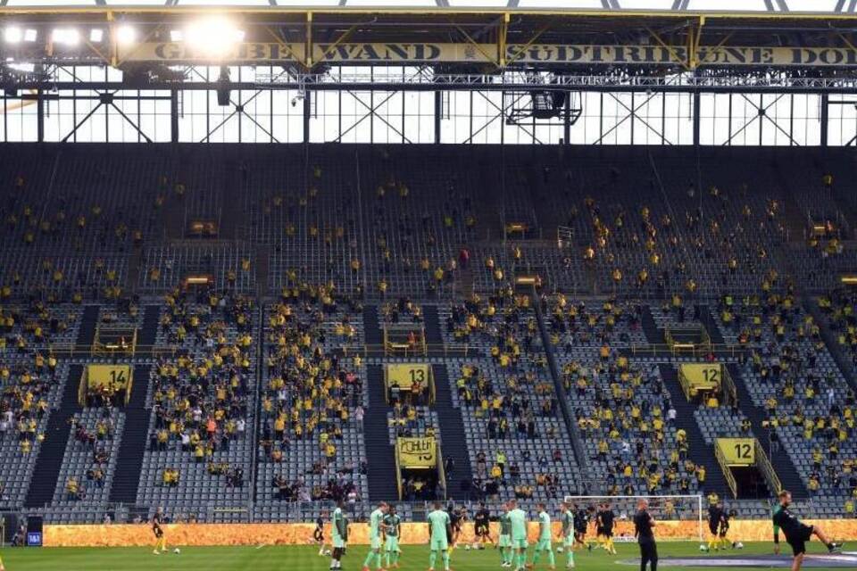 BVB-Fans BVB-Fans