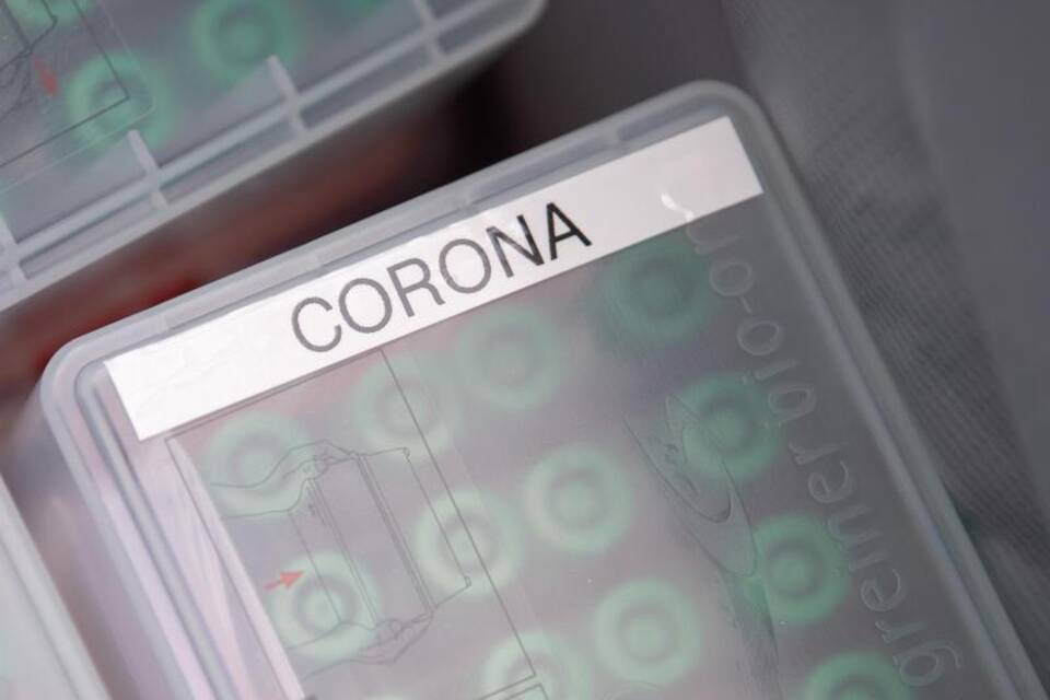 Corona Corona