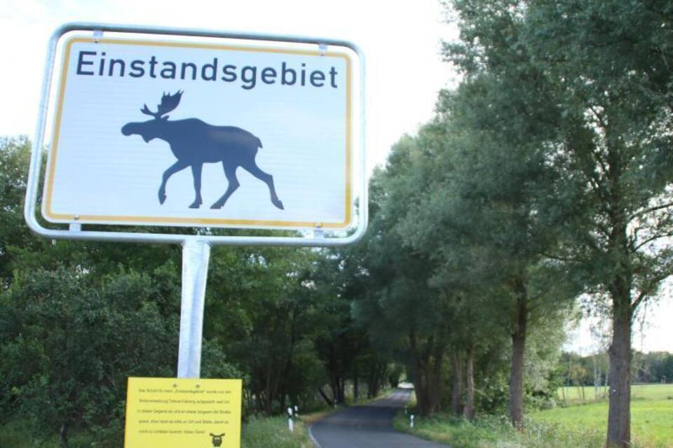 Elch-Schild Elch-Schild