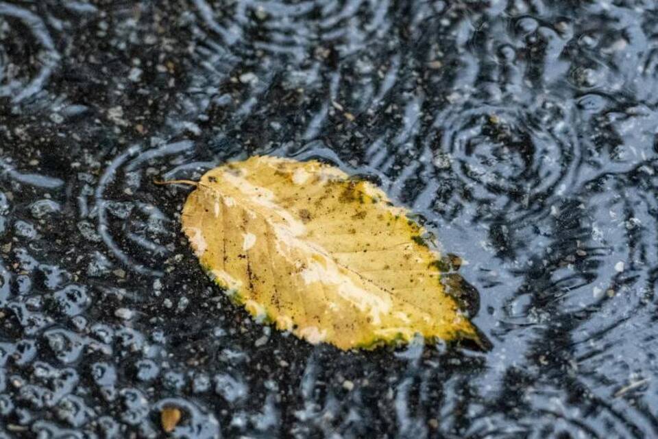 Regen Regen