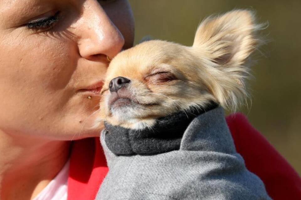 Jasmin Naskovski mit ihrem Chihuahua Prince