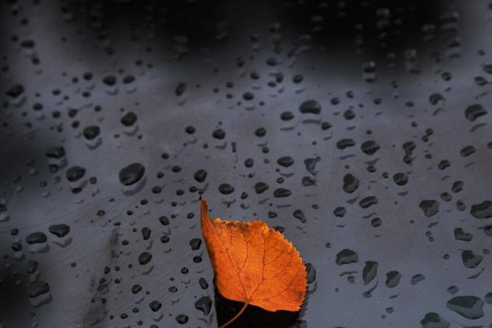 Herbstzeit Herbstzeit