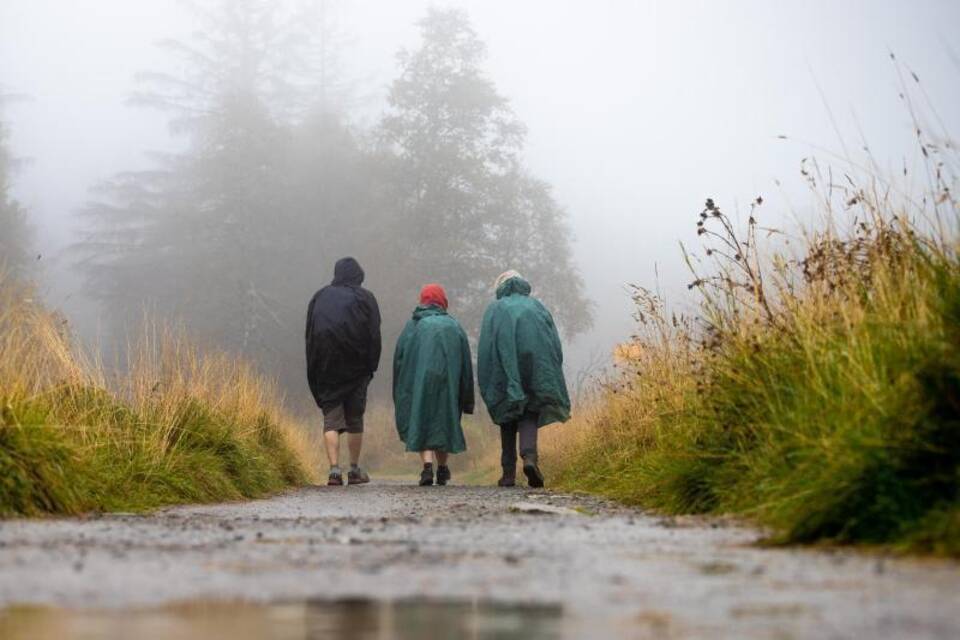 Wanderer im Harz Wanderer im Harz
