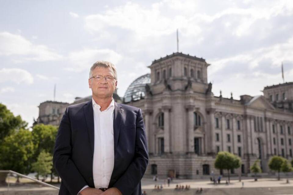 AfD-Parteichef Meuthen AfD-Parteichef Meuthen