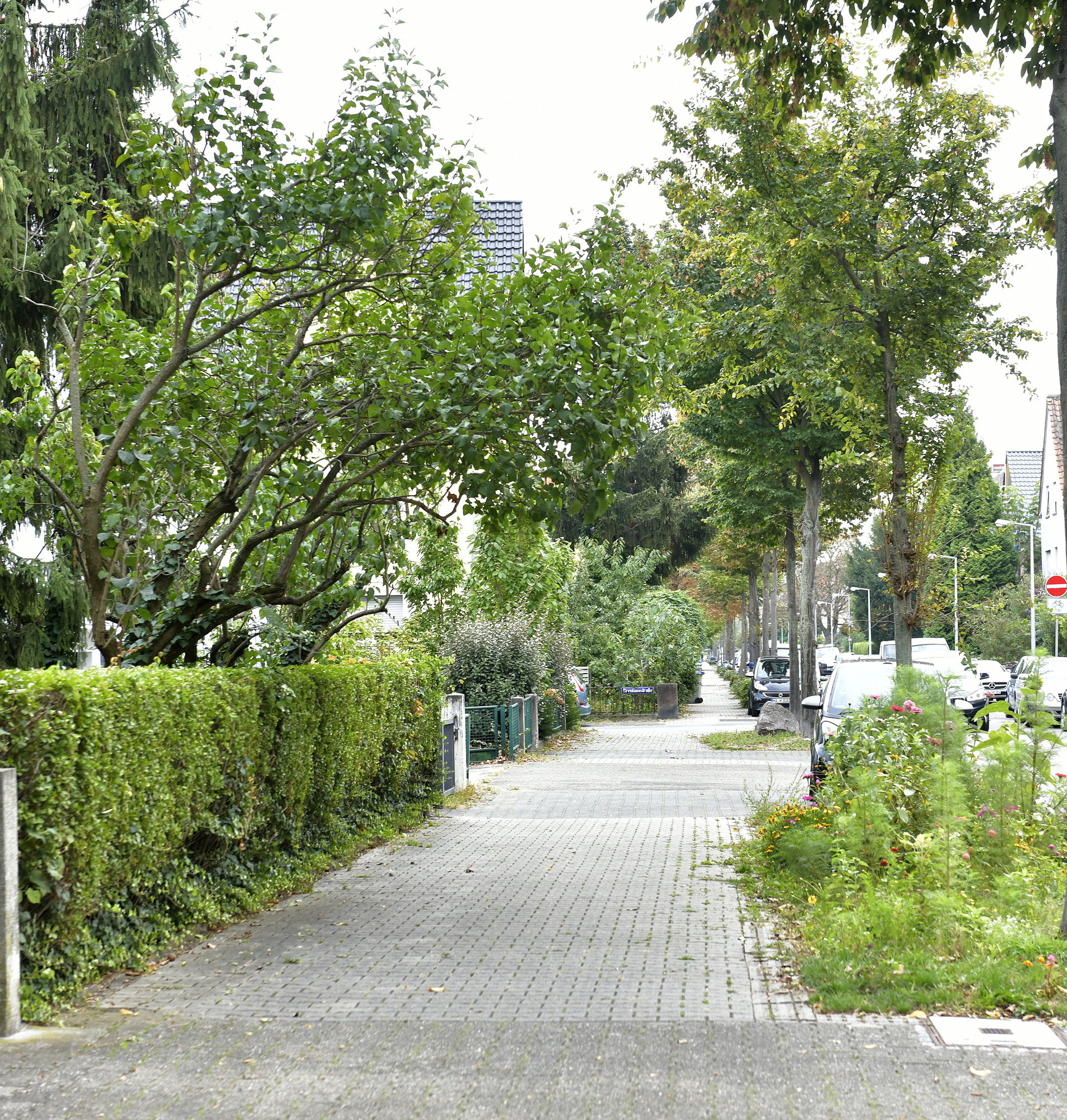 Mannheimer Stadtteile Der Almenhof ist wie ein Dorf mitten in der