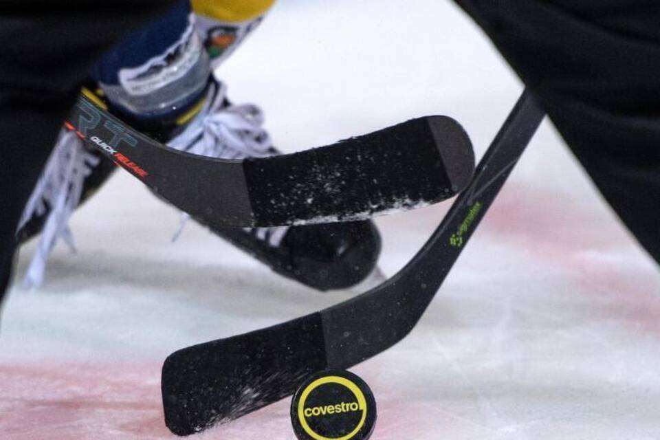 Deutsche Eishockey Liga Deutsche Eishockey Liga