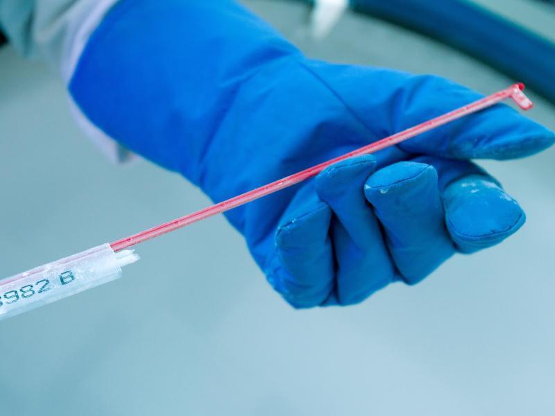 mit einem sperma befruchtet gynakologe zeugte 17 kinder ohne wissen der frauen aus aller welt rnz