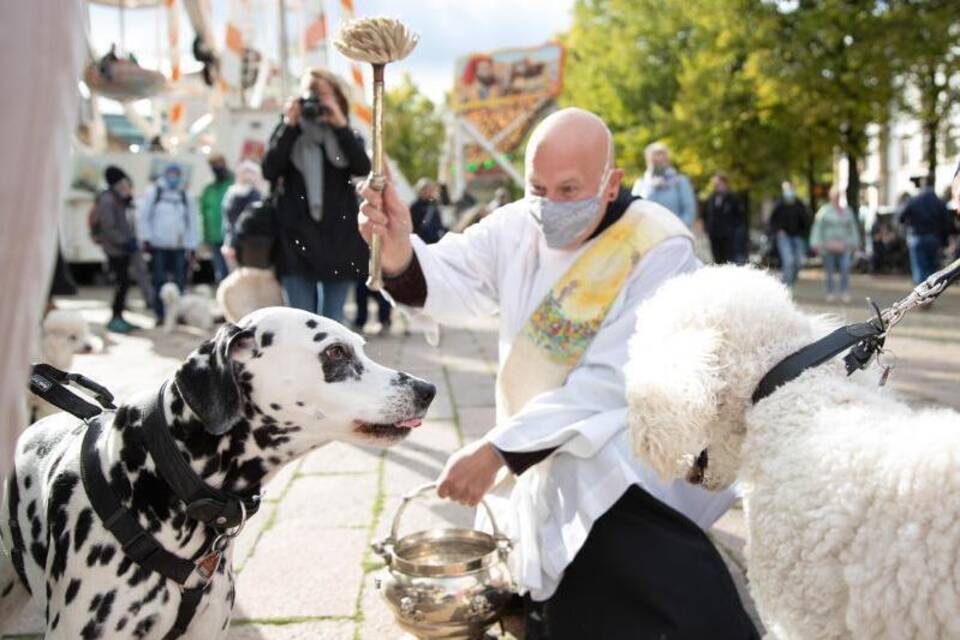 Tiersegnung im Bistum Osnabrück
