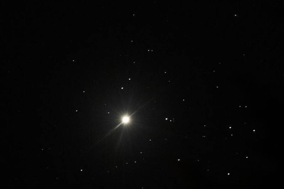 Venus Venus