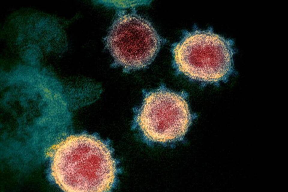 Coronavirus - Virus SARS-CoV-2