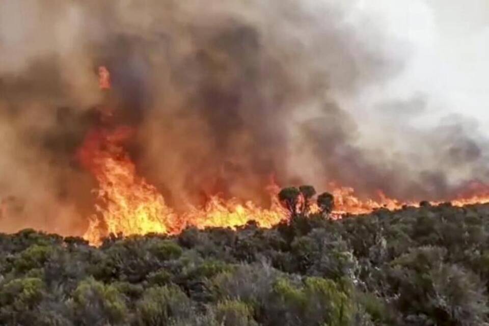 Feuer auf dem Kilimandscharo