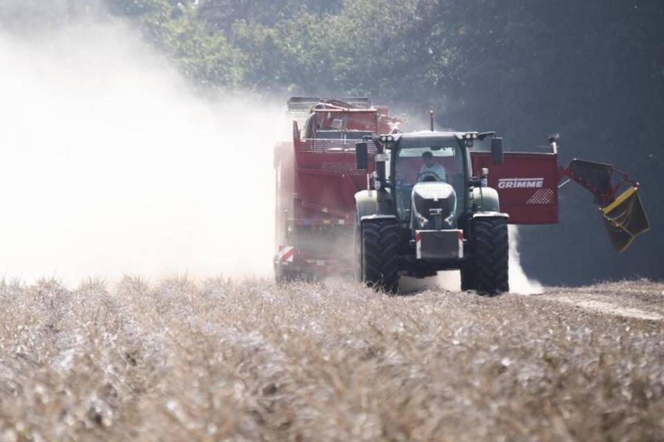 Ernte auf staubtrockenen Feld Ernte auf staubtrockenen Feld