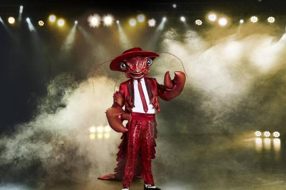 Masked Singer Masked Singer
