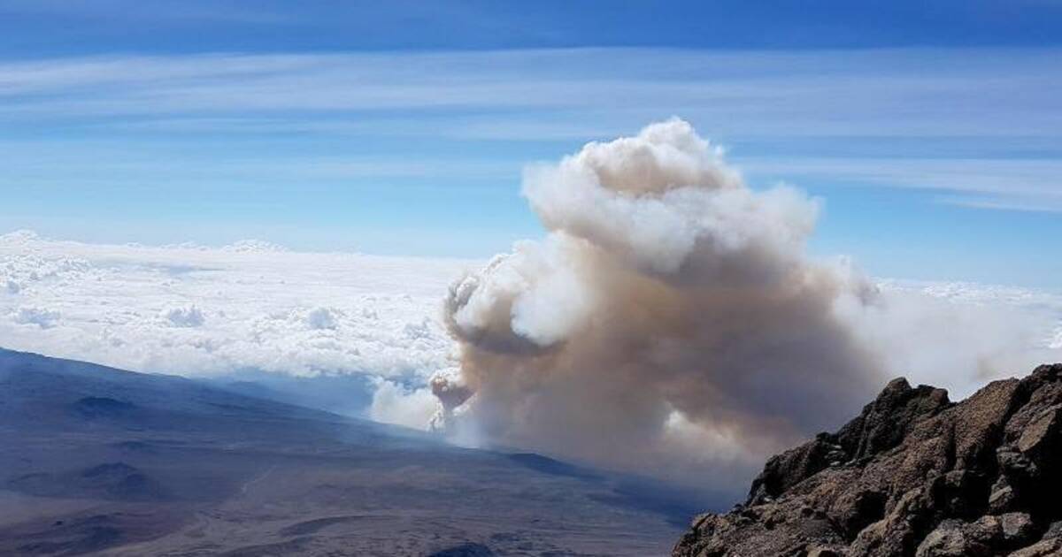 Höchster Berg Afrikas: Behörden in Tansania: Brand auf ...