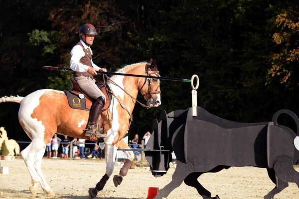 Working Equitation Working Equitation
