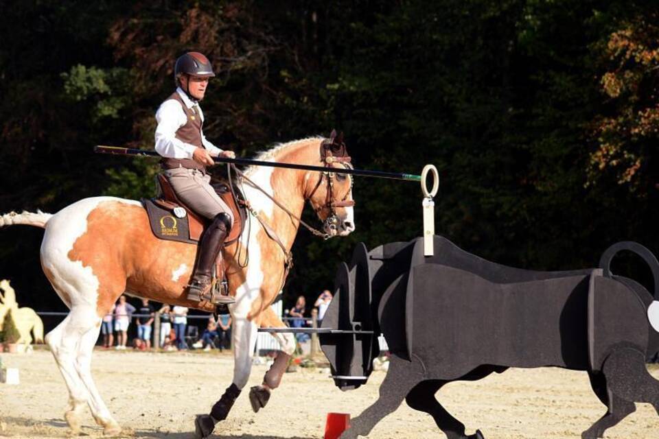 Working Equitation