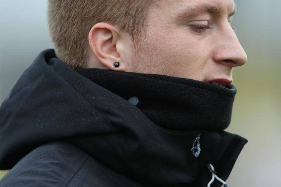 BVB-Star