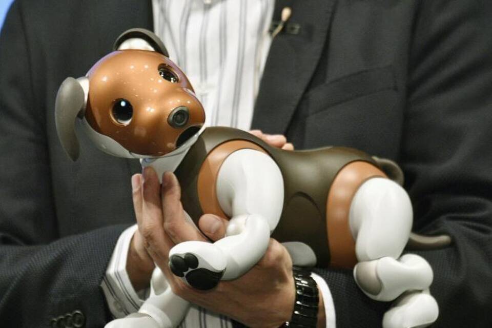 Roboterhund Aibo