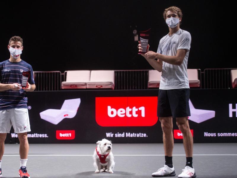 Zverev gewinnt, Hund gratuliert - Klaro! - Sport - RNZ