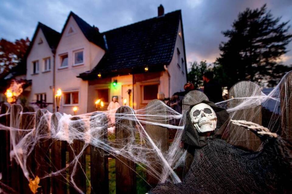 Halloween Halloween