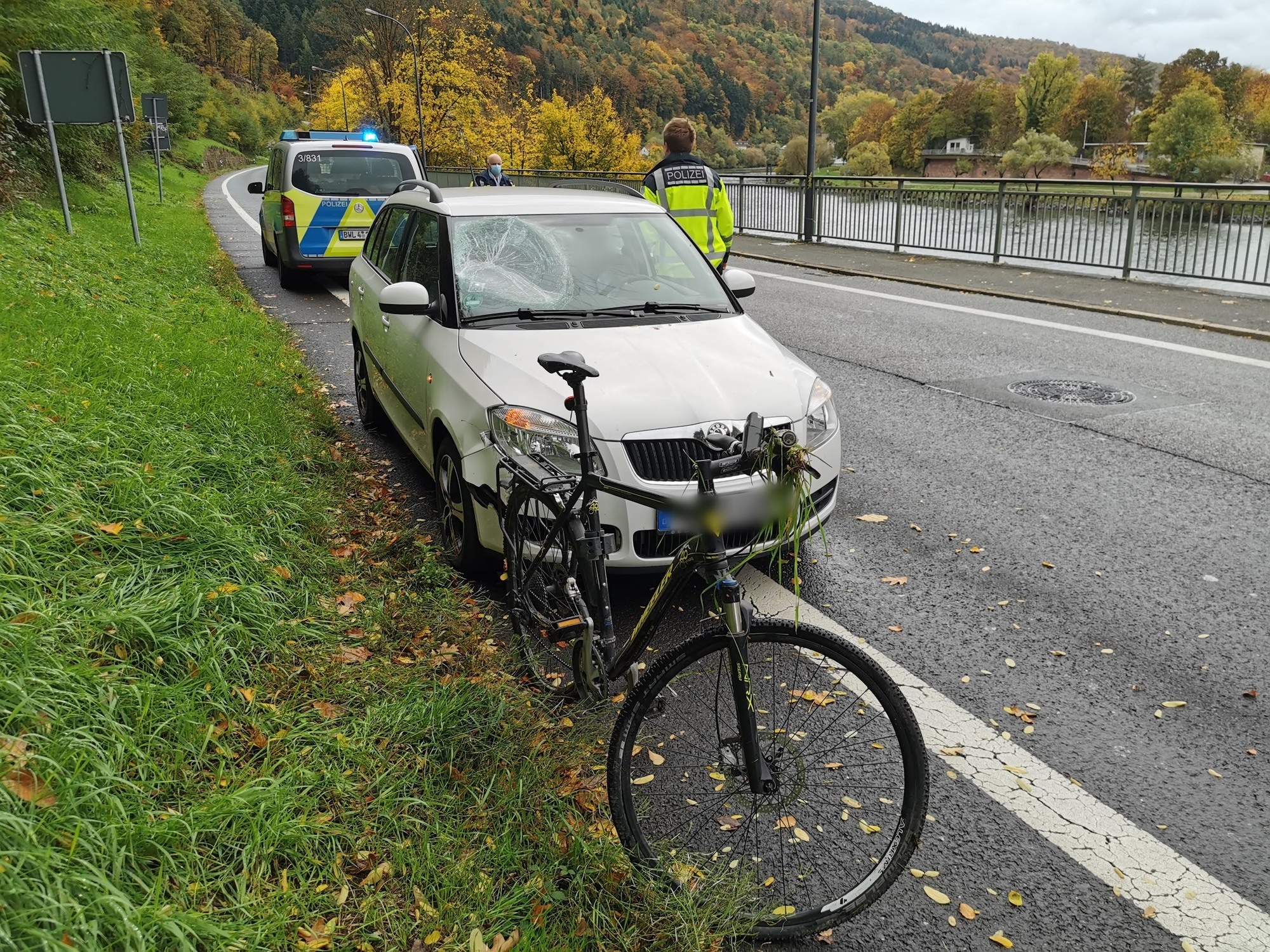 HeidelbergZiegelhausen 41jähriger FahrradFahrer bei