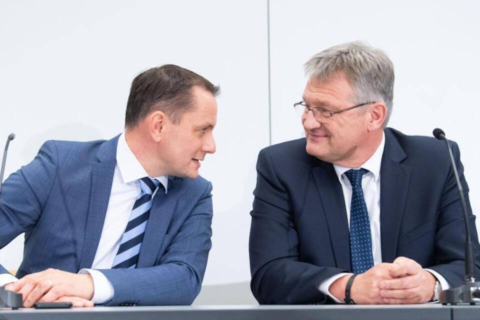 Chrupalla und Meuthen