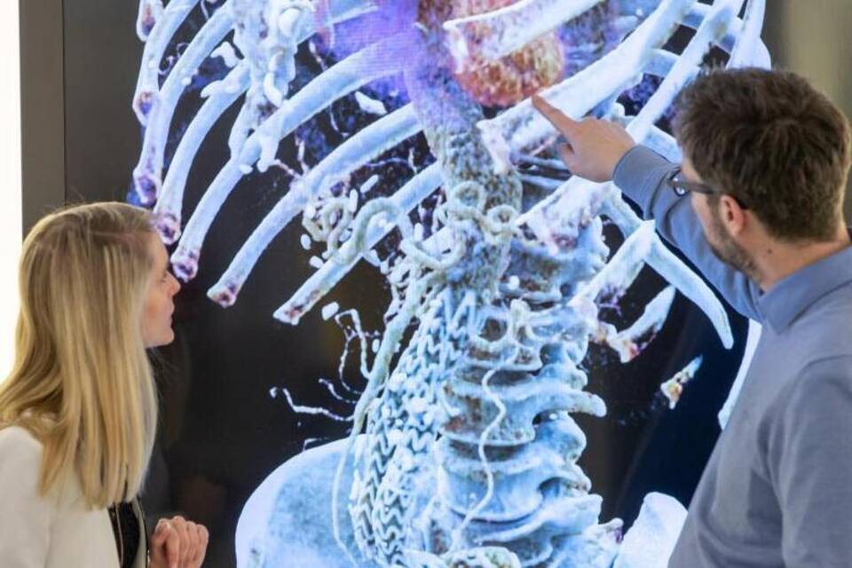 Ein menschlicher Oberkörper in 3D Ein menschlicher Oberkörper in 3D