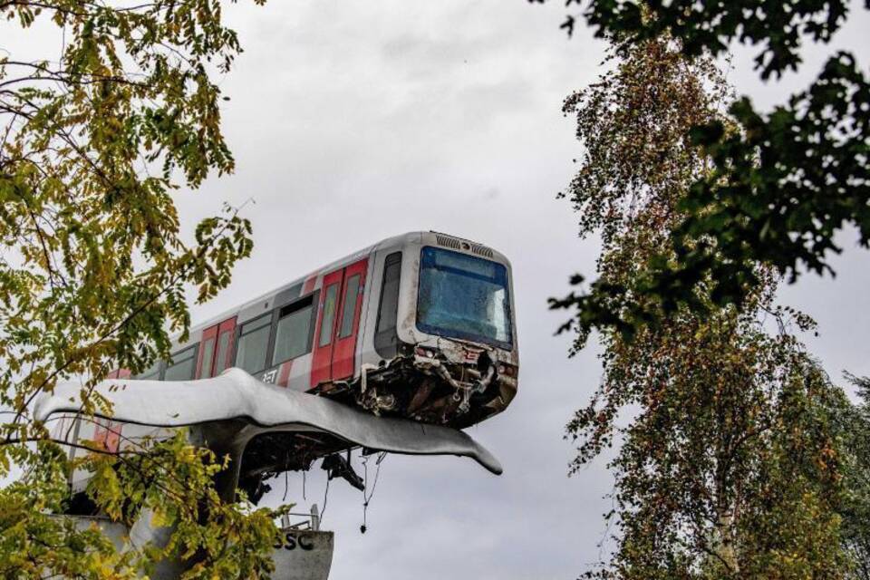 Zug auf Wal-Flosse