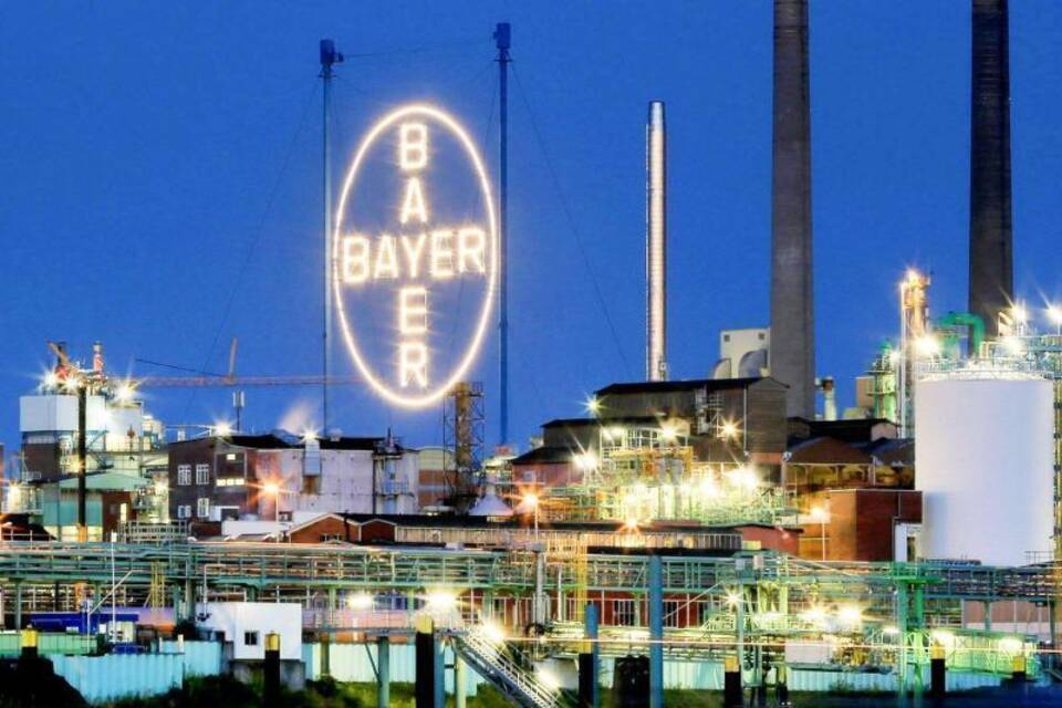 Bayer Bayer