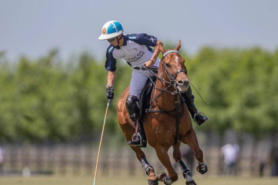 Poroto Cambiaso Poroto Cambiaso