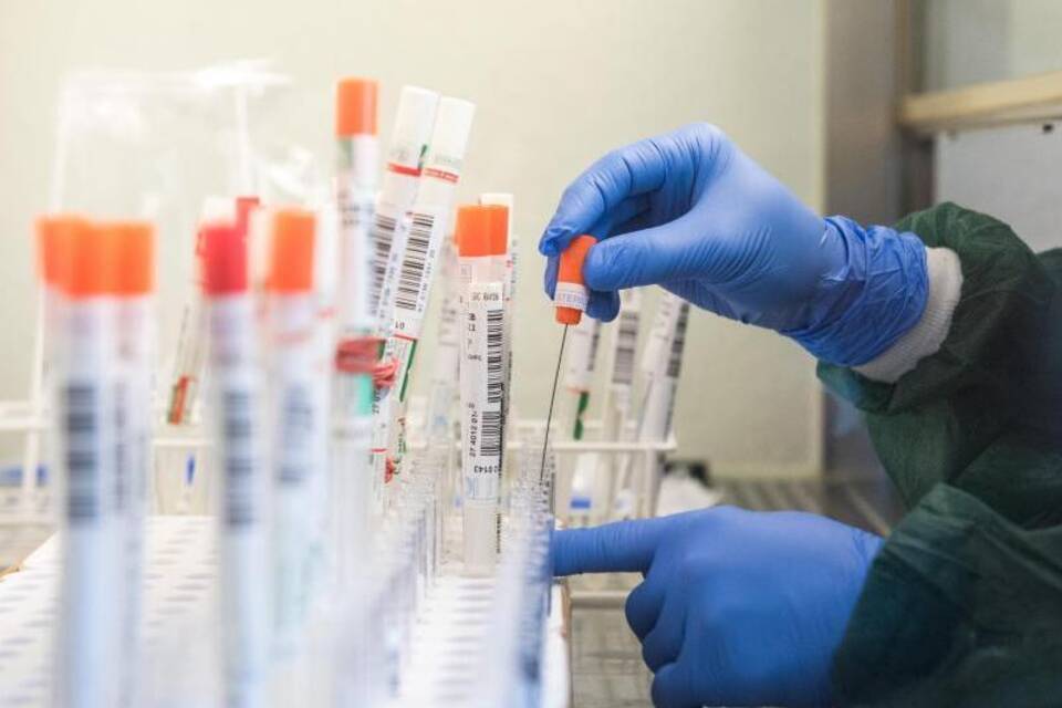 Testauswertung im Labor Testauswertung im Labor