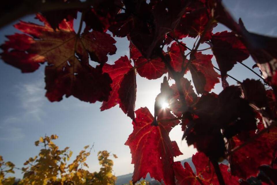 Herbstsonne Herbstsonne