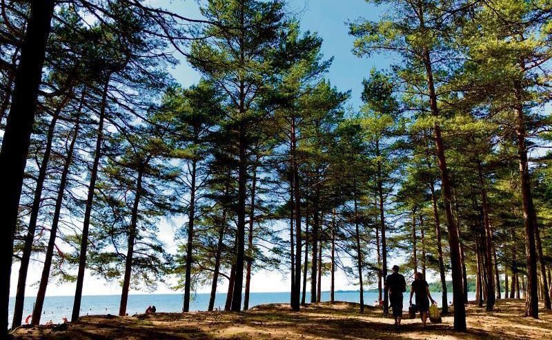 Schweden Am Ende Schweden Am Ende