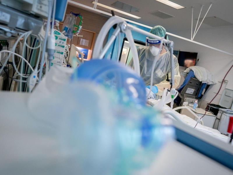 Offizielle Zahlen: Noch keine Übersterblichkeit wegen Corona ...