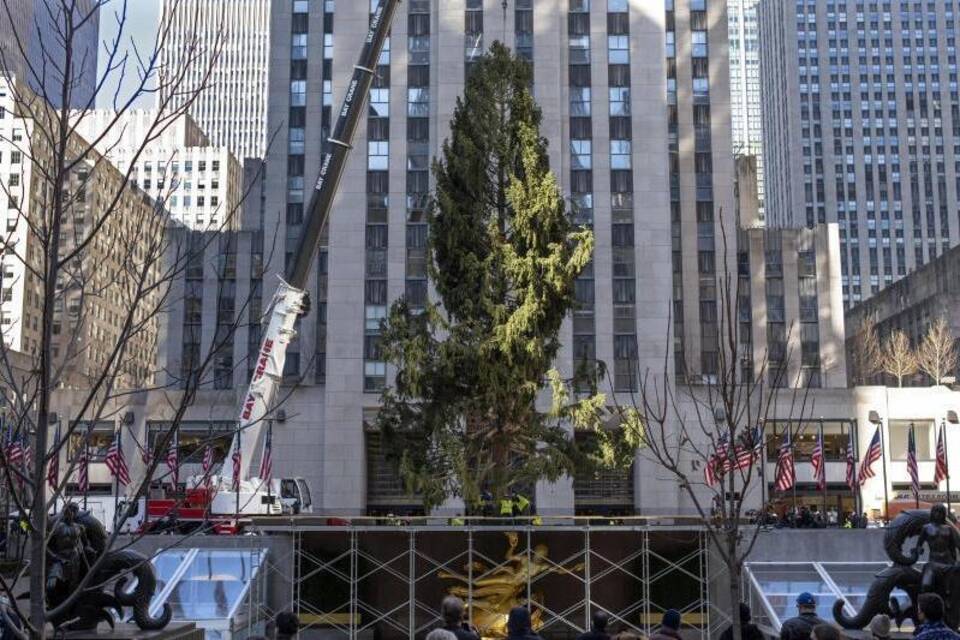Weihnachtsbaum für das Rockefeller Center