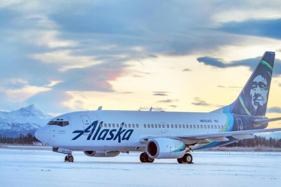 Flugzeug kollidiert mit Braunbär