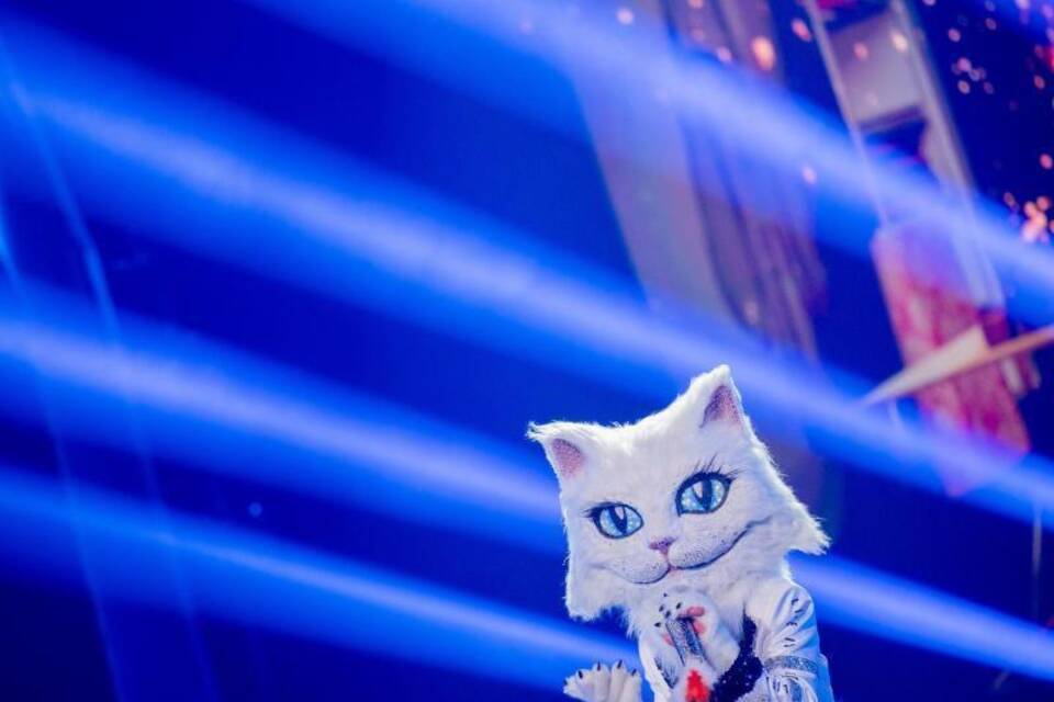 «The Masked Singer» «The Masked Singer»