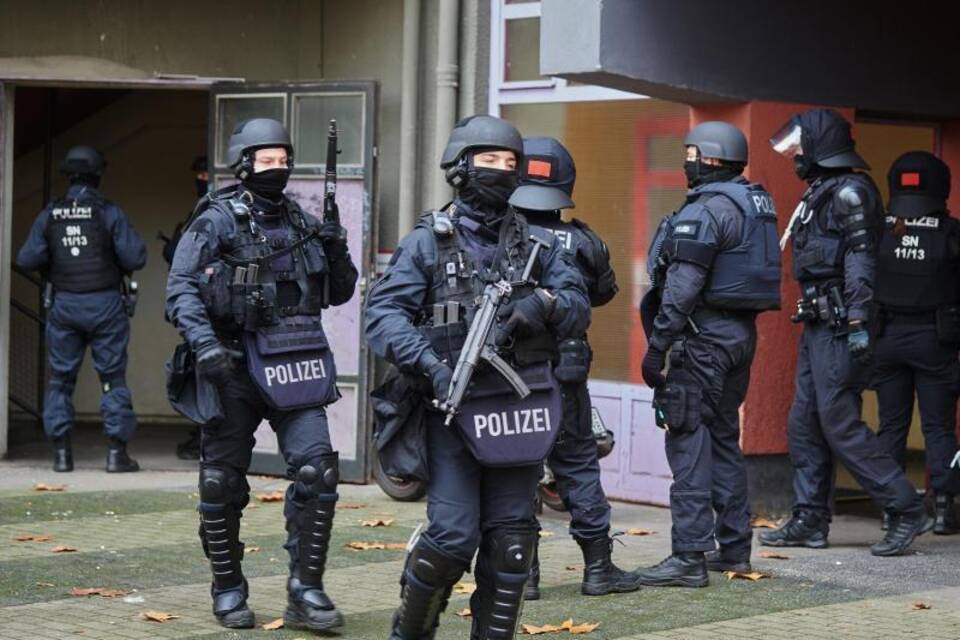 KINA - Auf der Suche nach Juwelen und Beweisen KINA - Auf der Suche nach Juwelen und Beweisen