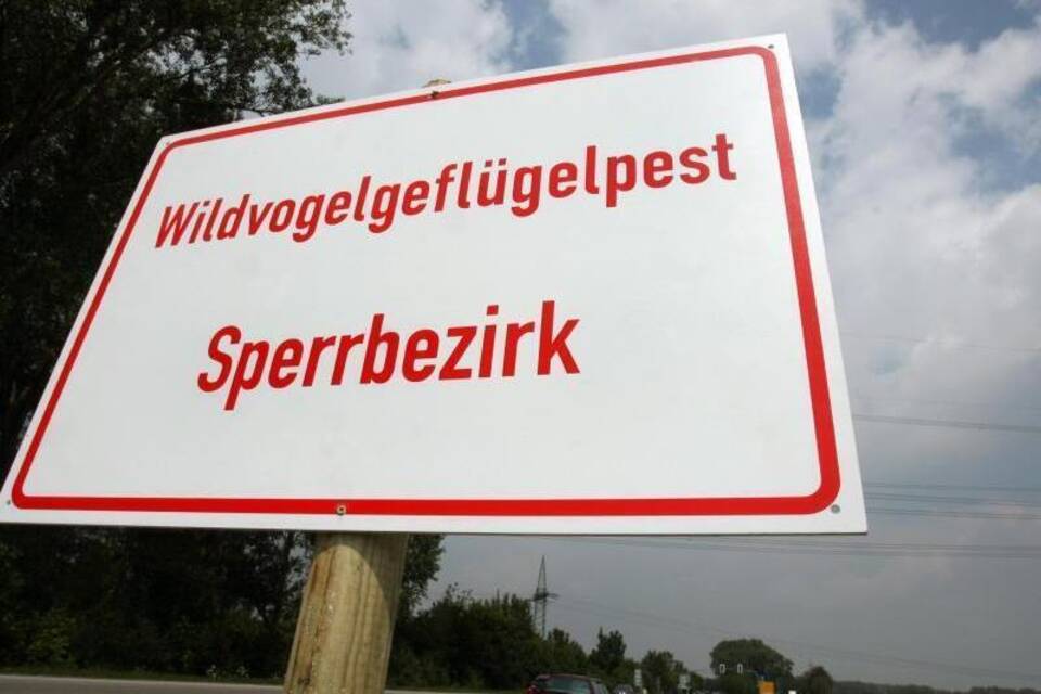 Geflügelpest Geflügelpest