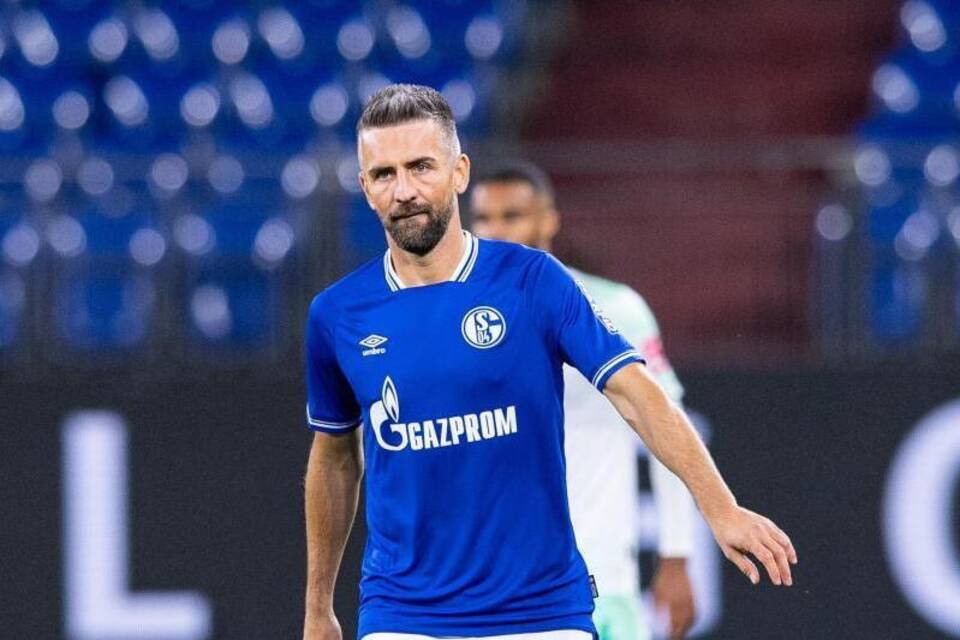 Vedad Ibisevic Vedad Ibisevic