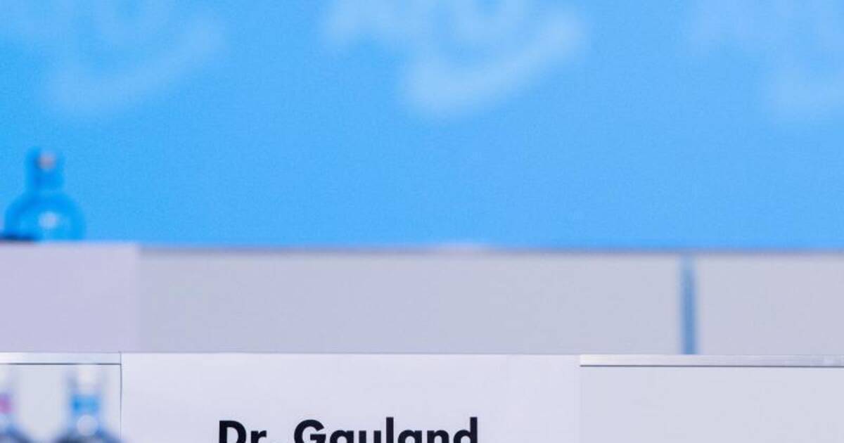 Gesundheitliche Probleme: AfD-Fraktionschef Gauland ...
