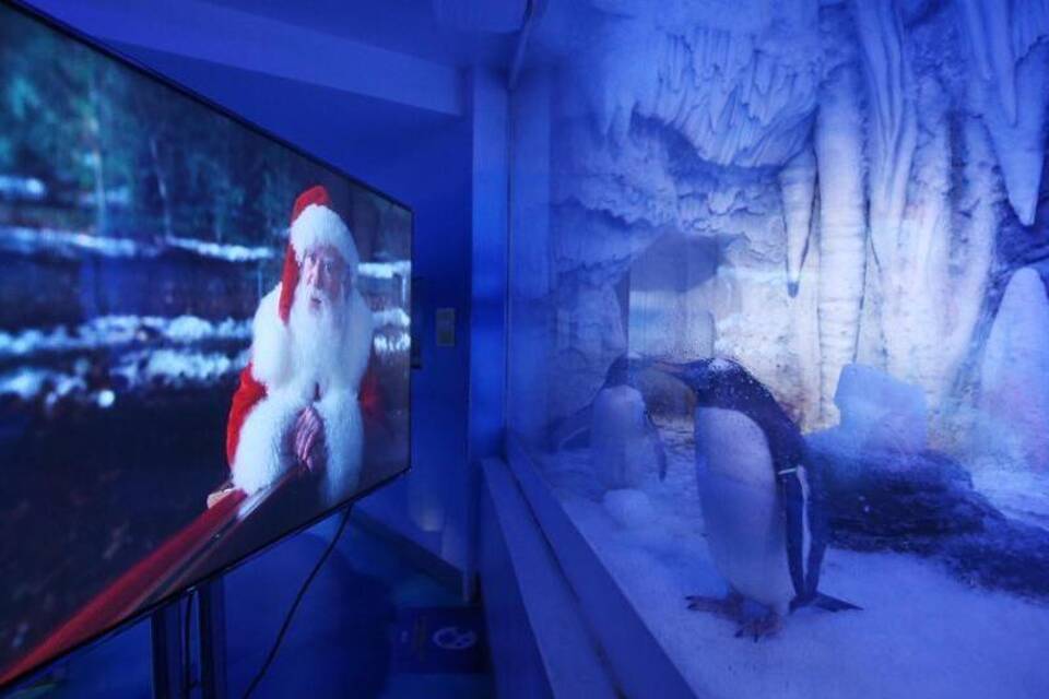Weihnachtsfilm für Pinguine