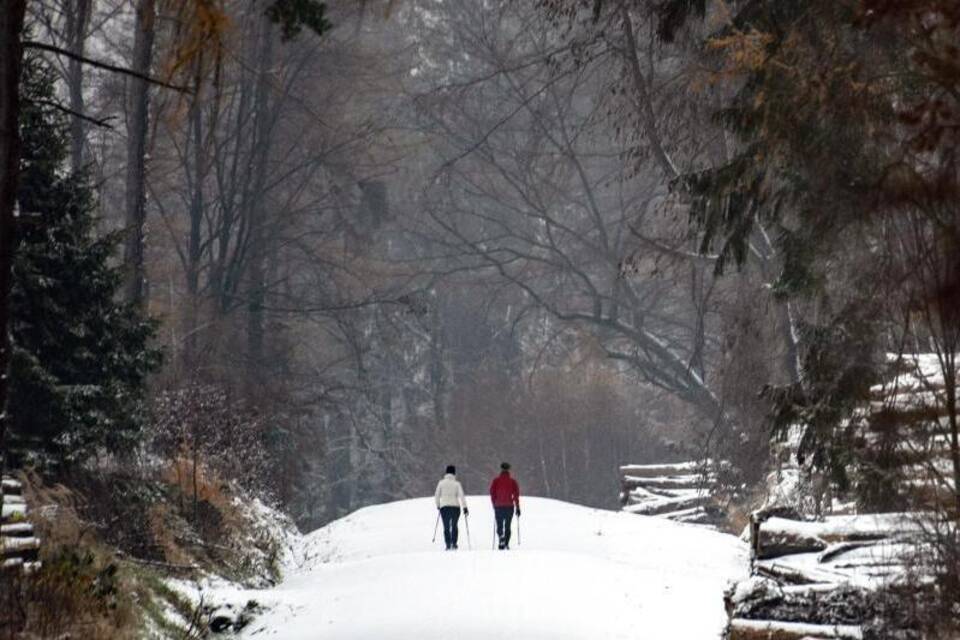 Wanderer im Schnee