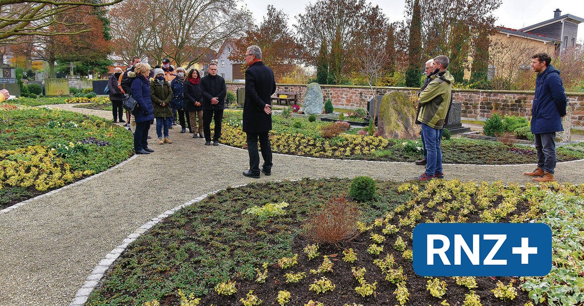Schriesheim Neues gärtnergepflegtes Grabfeld auf dem Friedhof Rhein