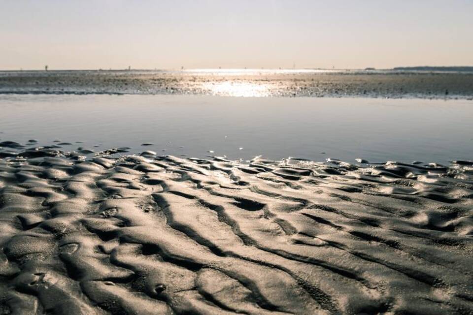 Nationalpark Hamburgisches Wattenmeer