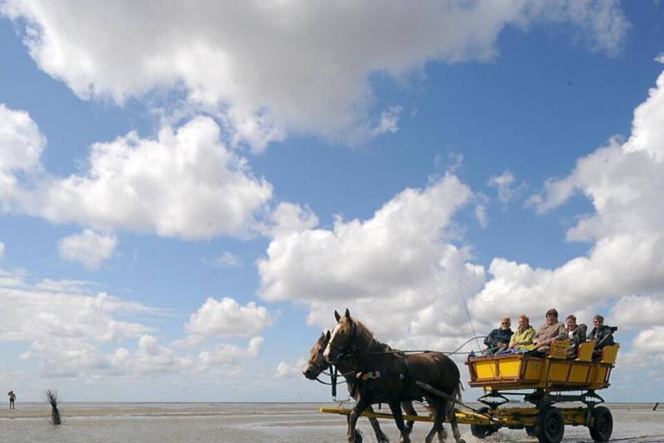 Wattenmeer Wattenmeer