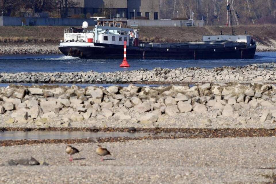 Niedrigwasser am Rhein