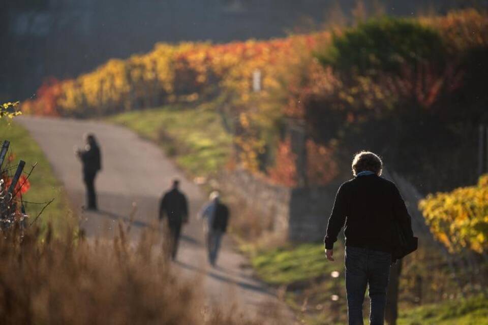 Spaziergang im Herbst