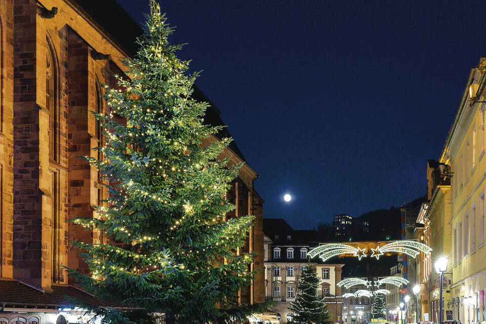 Heidelberg Warum sind die Weihnachtsbäume nur oben geschmückt