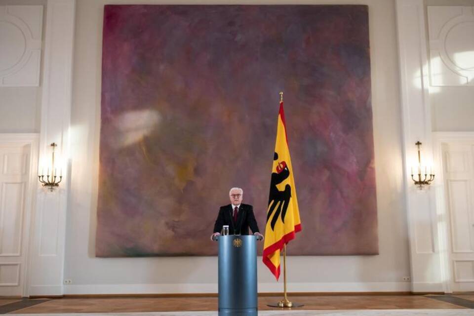 Bundespräsident Steinmeier